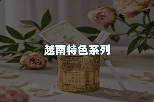 越南特色系列